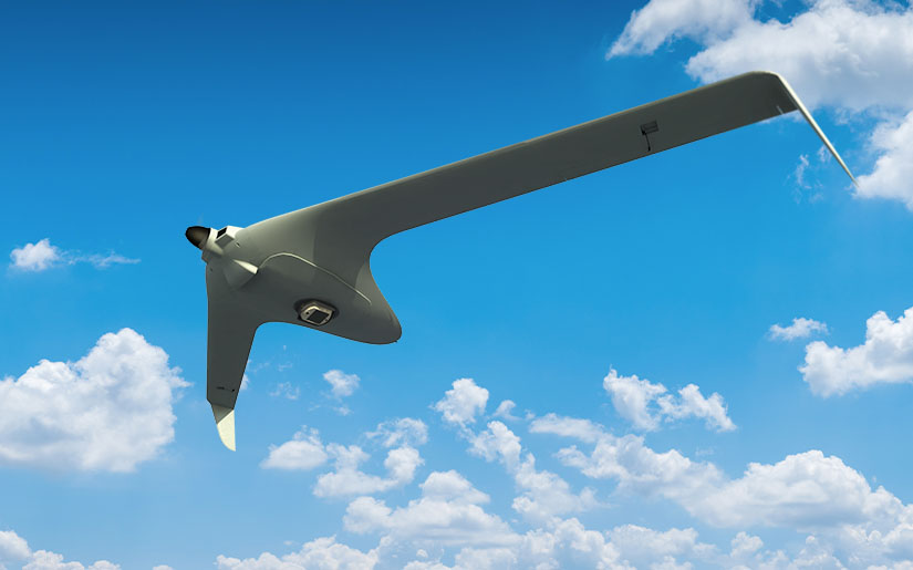 WASP-on-BirdEye-650D-tactical0D0A-UAV.jpg