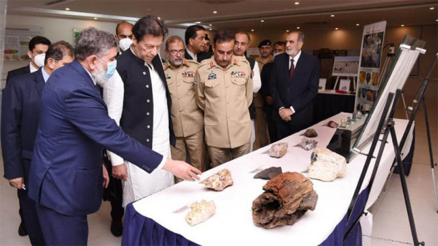 tribune.com.pk