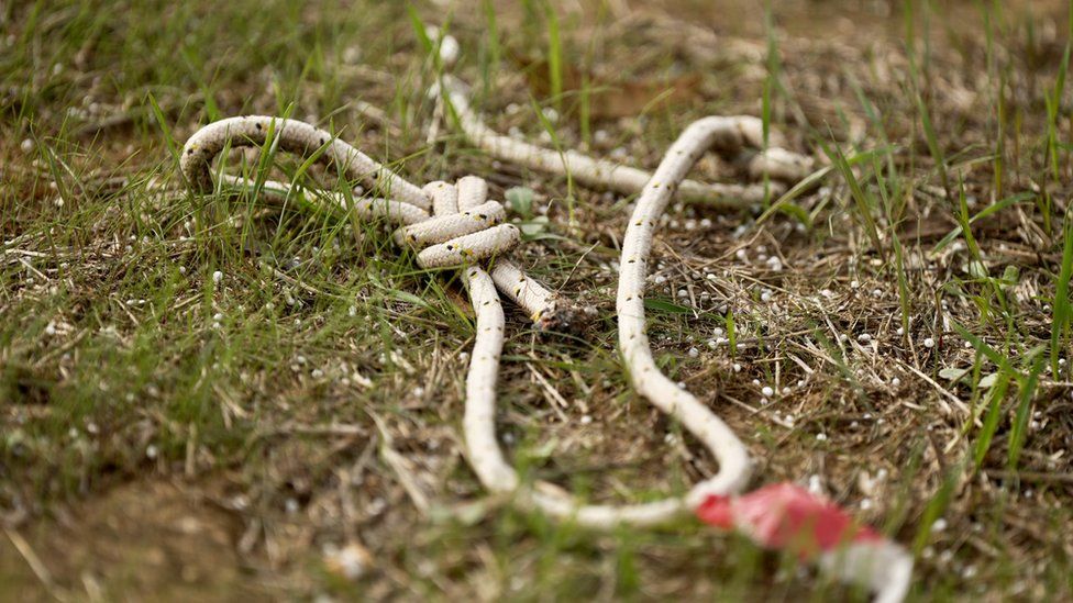 rope at nova festival site