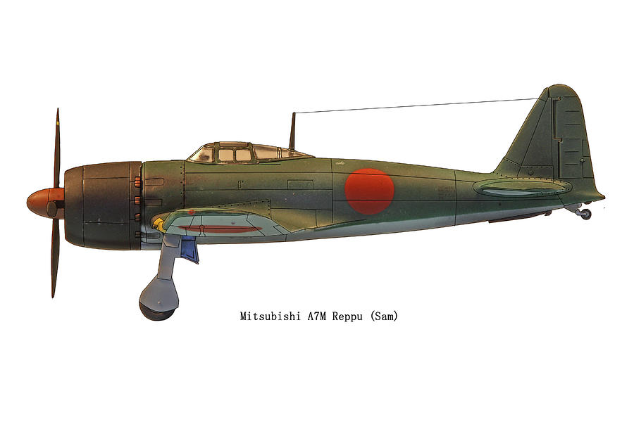 mitsubishi-a7m-reppu-profile-richard-filteau.jpg