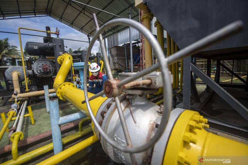 Pertamina discovers oil, gas resources in Jambi Pertamina discovers oil, gas resources in Jambi