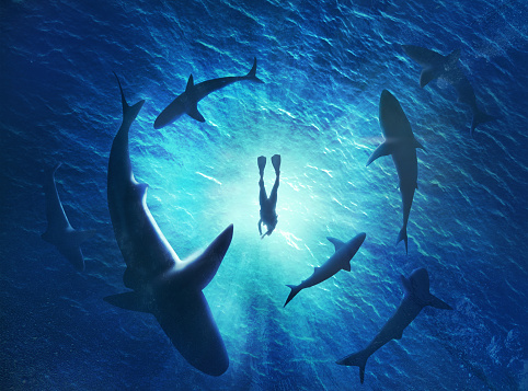 illustration-of-sharks-forming-a-circle-under-a-man-in-water.jpg