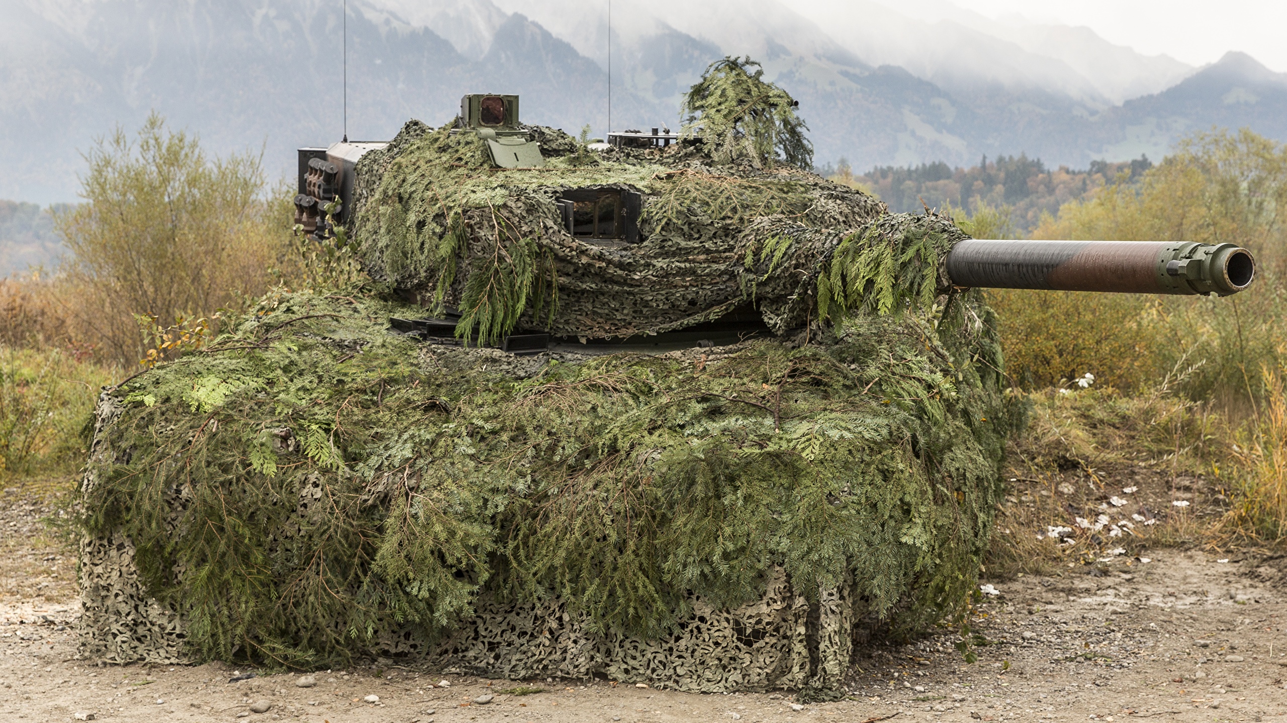 Tanks_Leopard_2_Camouflage_521750_2560x1440.jpg