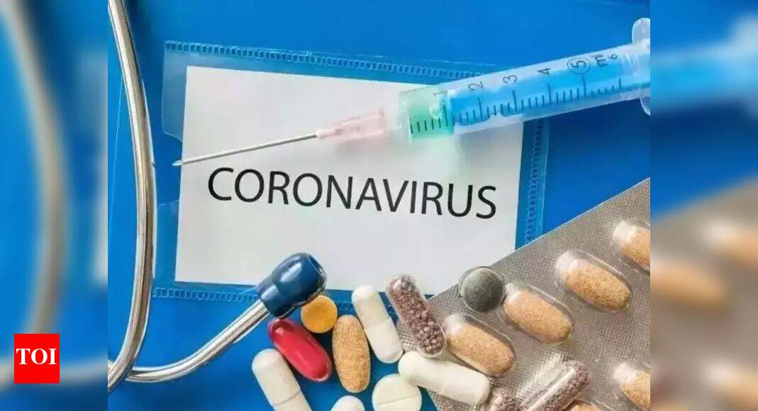 timesofindia.indiatimes.com