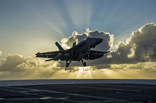 512px-FA-18E_of_VFA-195_landing_on_USS_George_Washington_in_June_2015.JPG