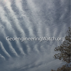www.geoengineeringwatch.org