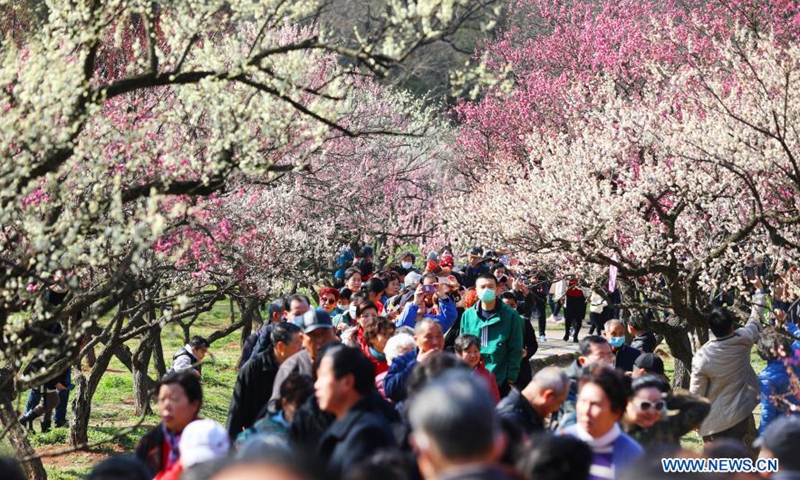 Tourists visit the Meihuashan (Plum Blossom Hill) scenic area in Nanjing, east China's Jiangsu Province, Feb. 19, 2021. A festival featured with plum blossom kicked off here on Friday.Photo:Xinhua Tourists visit the Meihuashan (Plum Blossom Hill) scenic area in Nanjing, east China's Jiangsu Province, Feb. 19, 2021. A festival featured with plum blossom kicked off here on Friday.Photo:Xinhua