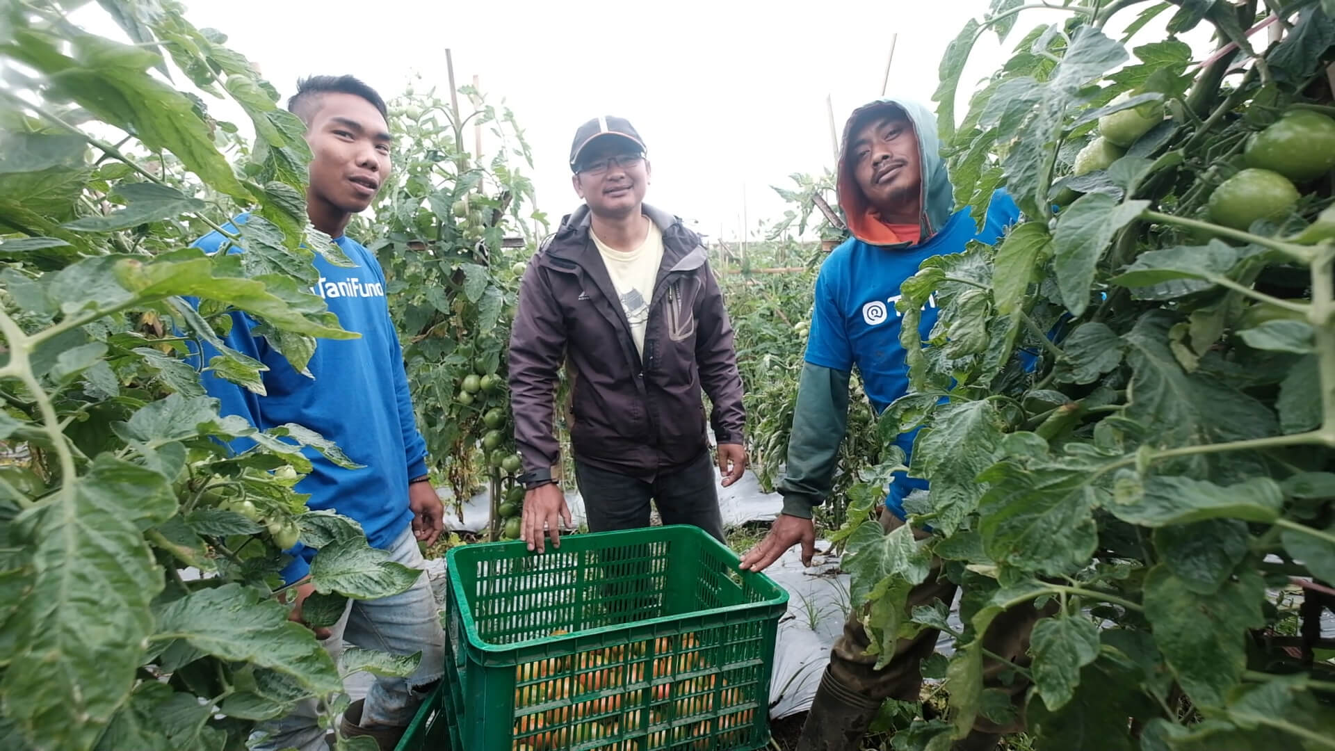 Farmer Cahyono Kurnia - The Jakarta Post