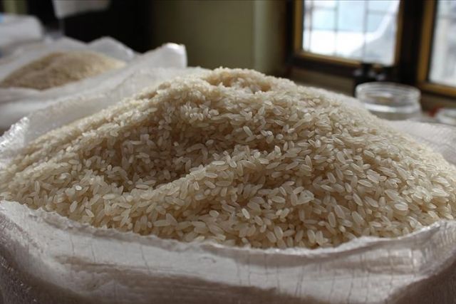 Bangladeshi scientists claim breakthrough in rice research