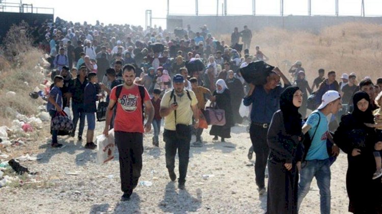prof.  Dr.  Faruk Şen: Syrian temporary asylum seekers are intensively given citizenship